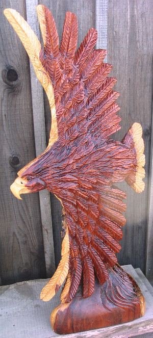 Redwood Soaring Eagle