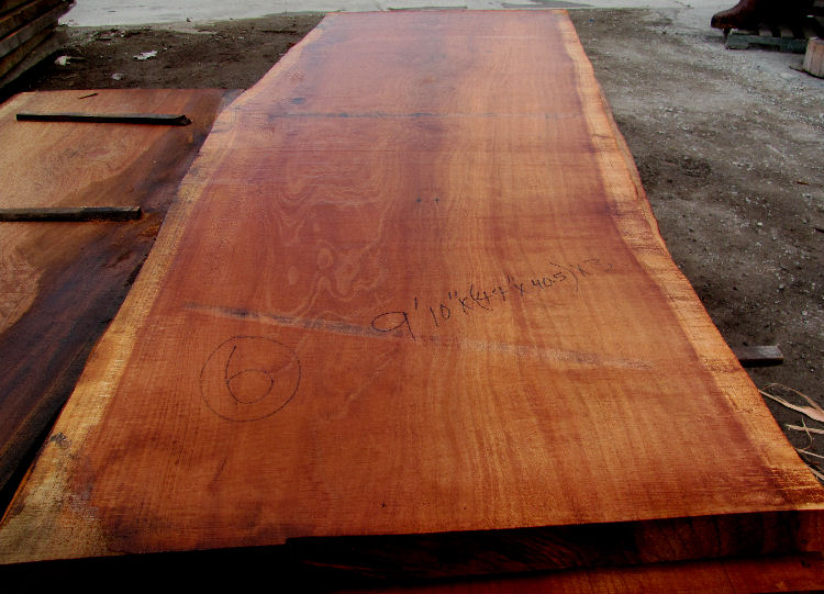 Redwood Burl by Artisan Burlwood