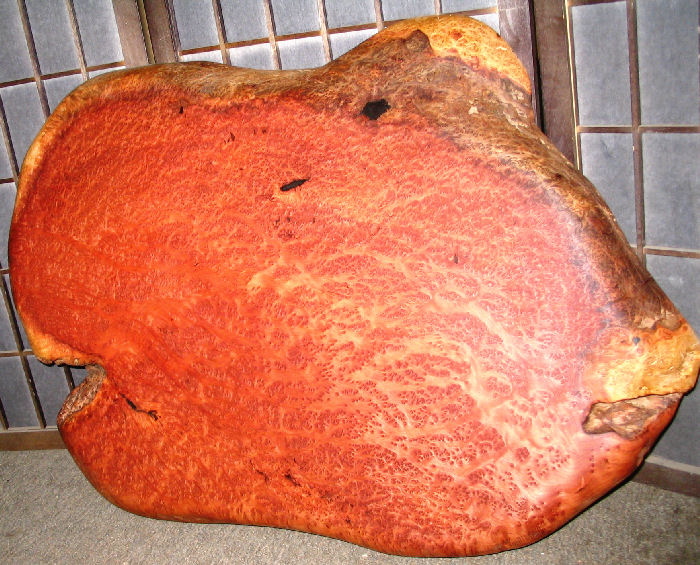 Redwood Burl Table Top
