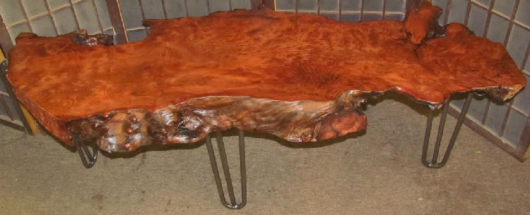 Redwood Burl Coffee Table with Hair-Pin Legs