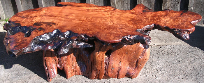 Redwood Burl Coffee Table -SOLD!